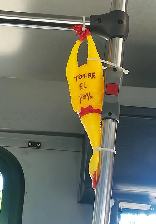 Rubber chicken hanging inside bus